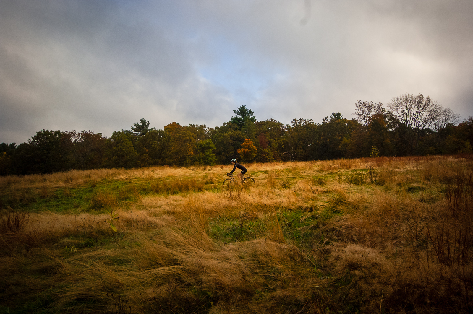 Firefly Bicycles Custom Titanium and Carbon highperformance bicycles
